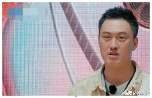 娱乐圈吃瓜速度排行榜最新,揭秘明星动态最快传播之谜  第3张