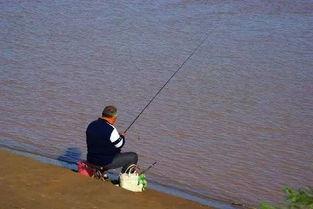 娱乐吃瓜钓鱼视频下载安装,娱乐吃瓜钓鱼视频，轻松安装体验新乐趣  第2张