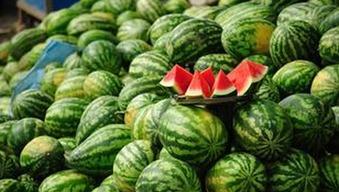 五一吃瓜每日必吃今日分享  第3张