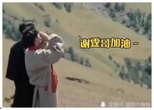 吃瓜娱乐爆料姐弟恋事件,揭秘明星恋情背后的真相  第3张